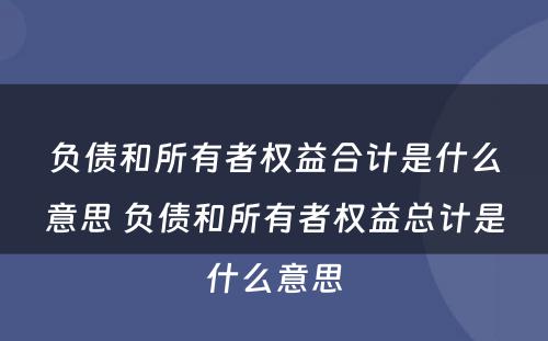 负债和所有者权益合计是什么意思 负债和所有者权益总计是什么意思