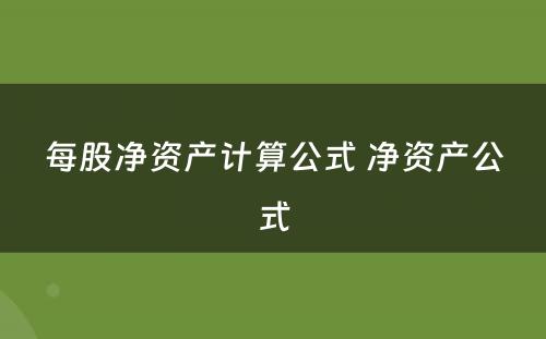 每股净资产计算公式 净资产公式