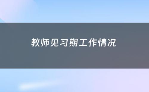 教师见习期工作情况 