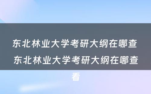 东北林业大学考研大纲在哪查 东北林业大学考研大纲在哪查看