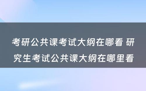 考研公共课考试大纲在哪看 研究生考试公共课大纲在哪里看