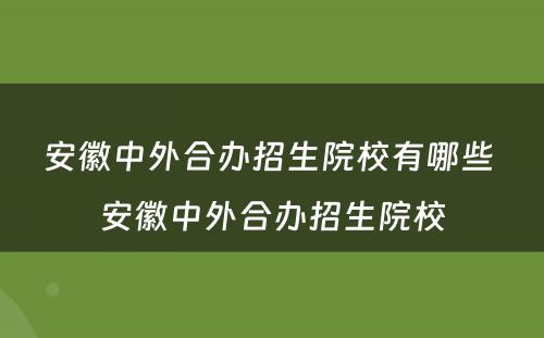 安徽中外合办招生院校有哪些 安徽中外合办招生院校