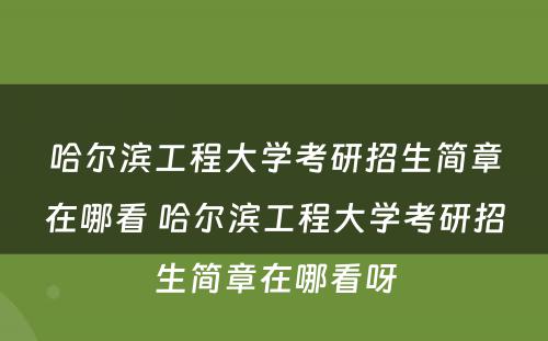 哈尔滨工程大学考研招生简章在哪看 哈尔滨工程大学考研招生简章在哪看呀