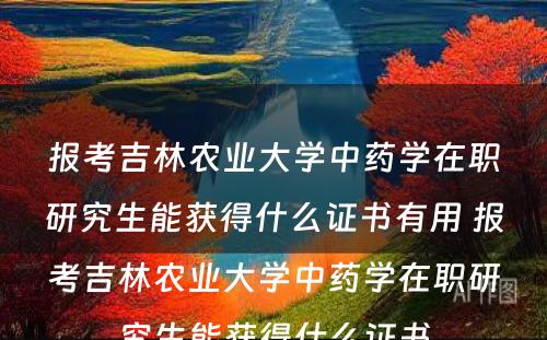 报考吉林农业大学中药学在职研究生能获得什么证书有用 报考吉林农业大学中药学在职研究生能获得什么证书