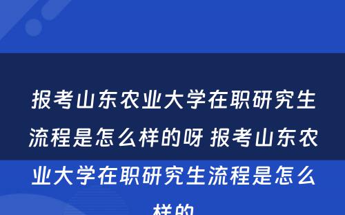 报考山东农业大学在职研究生流程是怎么样的呀 报考山东农业大学在职研究生流程是怎么样的