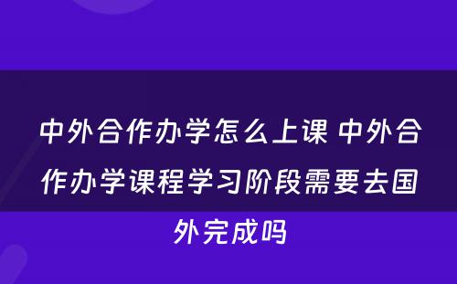 中外合作办学怎么上课 中外合作办学课程学习阶段需要去国外完成吗