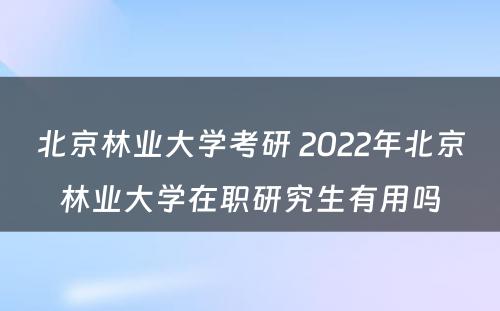 北京林业大学考研 2022年北京林业大学在职研究生有用吗