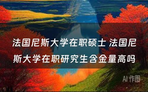 法国尼斯大学在职硕士 法国尼斯大学在职研究生含金量高吗