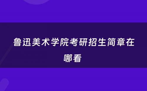 鲁迅美术学院考研招生简章在哪看 