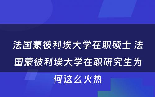 法国蒙彼利埃大学在职硕士 法国蒙彼利埃大学在职研究生为何这么火热