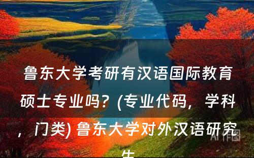 鲁东大学考研有汉语国际教育硕士专业吗？(专业代码，学科，门类) 鲁东大学对外汉语研究生