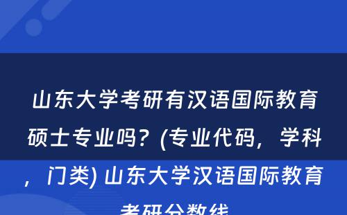 山东大学考研有汉语国际教育硕士专业吗？(专业代码，学科，门类) 山东大学汉语国际教育考研分数线