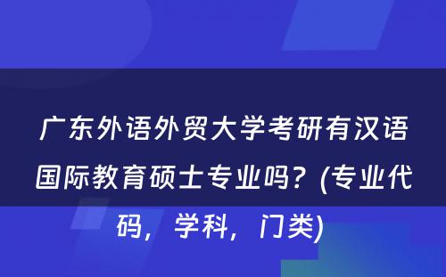 广东外语外贸大学考研有汉语国际教育硕士专业吗？(专业代码，学科，门类) 