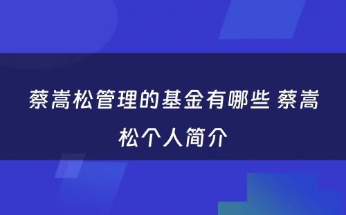 蔡嵩松管理的基金有哪些 蔡嵩松个人简介