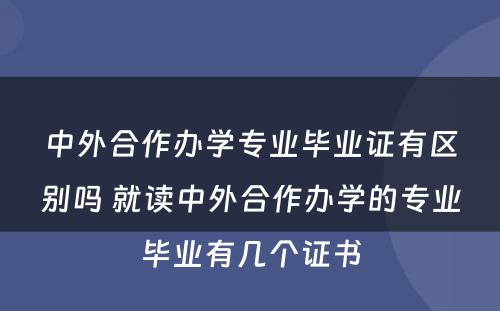 中外合作办学专业毕业证有区别吗 就读中外合作办学的专业毕业有几个证书