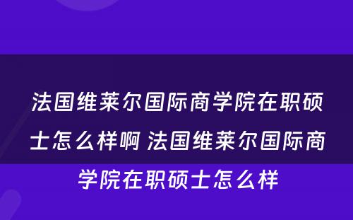 法国维莱尔国际商学院在职硕士怎么样啊 法国维莱尔国际商学院在职硕士怎么样