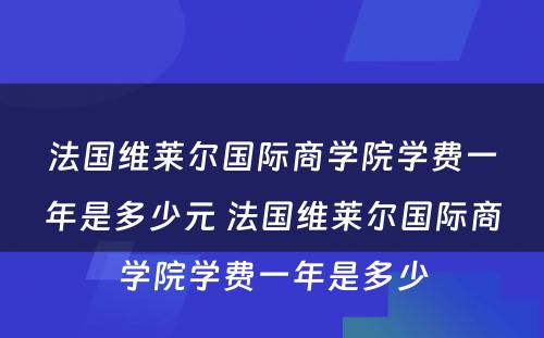 法国维莱尔国际商学院学费一年是多少元 法国维莱尔国际商学院学费一年是多少