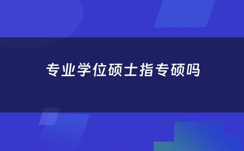 专业学位硕士指专硕吗