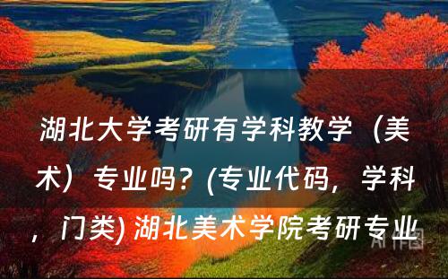 湖北大学考研有学科教学（美术）专业吗？(专业代码，学科，门类) 湖北美术学院考研专业