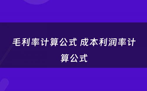 毛利率计算公式 成本利润率计算公式