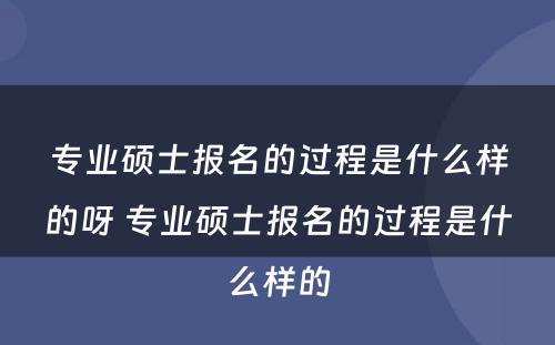 专业硕士报名的过程是什么样的呀 专业硕士报名的过程是什么样的