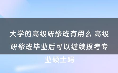 大学的高级研修班有用么 高级研修班毕业后可以继续报考专业硕士吗