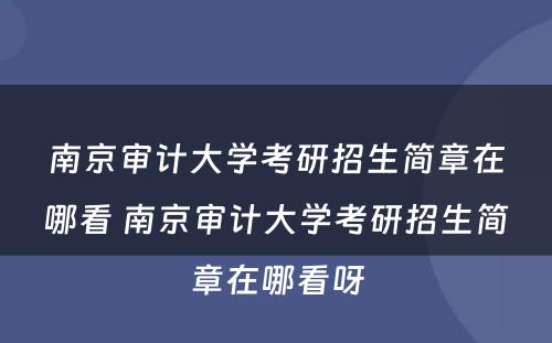 南京审计大学考研招生简章在哪看 南京审计大学考研招生简章在哪看呀