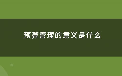  预算管理的意义是什么