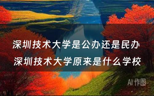 深圳技术大学是公办还是民办 深圳技术大学原来是什么学校