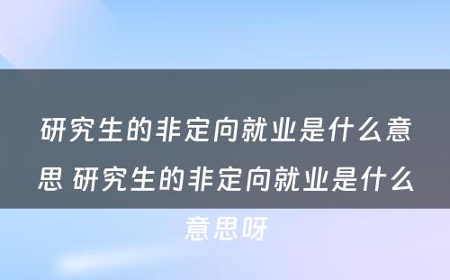 研究生的非定向就业是什么意思 研究生的非定向就业是什么意思呀