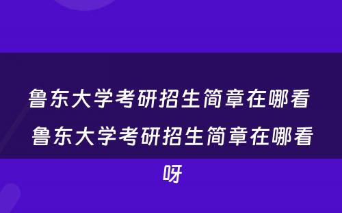 鲁东大学考研招生简章在哪看 鲁东大学考研招生简章在哪看呀