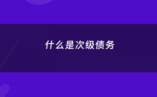  什么是次级债务