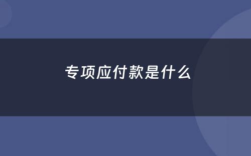  专项应付款是什么