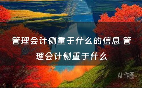 管理会计侧重于什么的信息 管理会计侧重于什么