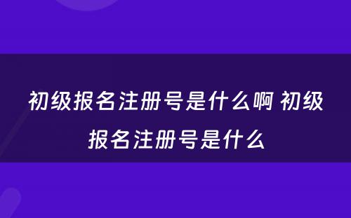 初级报名注册号是什么啊 初级报名注册号是什么