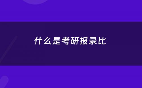 什么是考研报录比 