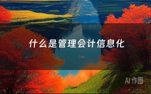  什么是管理会计信息化