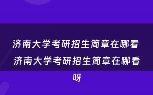 济南大学考研招生简章在哪看 济南大学考研招生简章在哪看呀