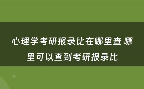 心理学考研报录比在哪里查 哪里可以查到考研报录比