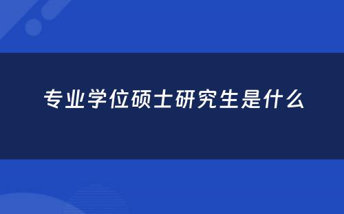 专业学位硕士研究生是什么