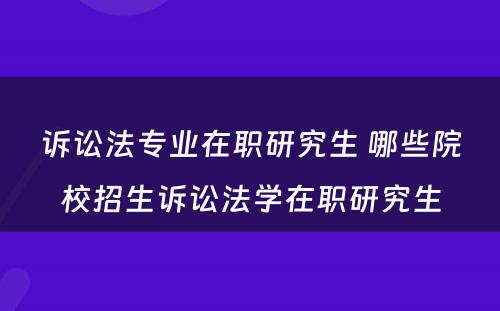 诉讼法专业在职研究生 哪些院校招生诉讼法学在职研究生