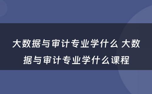 大数据与审计专业学什么 大数据与审计专业学什么课程