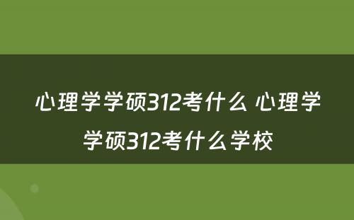 心理学学硕312考什么 心理学学硕312考什么学校