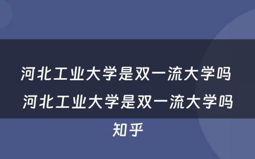 河北工业大学是双一流大学吗 河北工业大学是双一流大学吗知乎