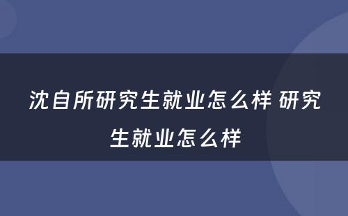 沈自所研究生就业怎么样 研究生就业怎么样