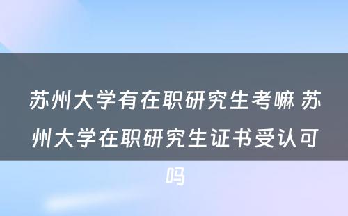 苏州大学有在职研究生考嘛 苏州大学在职研究生证书受认可吗