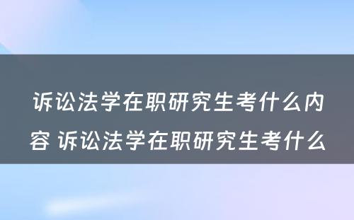 诉讼法学在职研究生考什么内容 诉讼法学在职研究生考什么