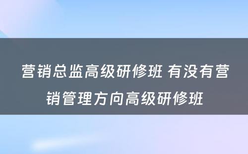 营销总监高级研修班 有没有营销管理方向高级研修班