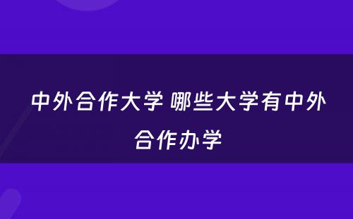 中外合作大学 哪些大学有中外合作办学