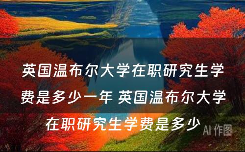 英国温布尔大学在职研究生学费是多少一年 英国温布尔大学在职研究生学费是多少